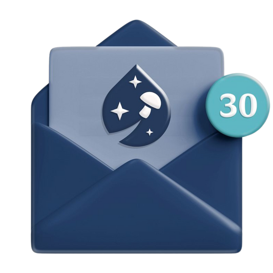 30 Dagen Focus Flow
